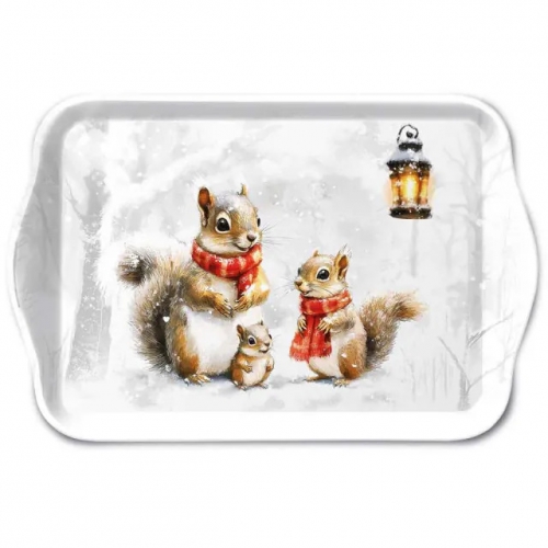 Petit plateau squirrel family - ambiente Petit plateau squirrel family - ambiente