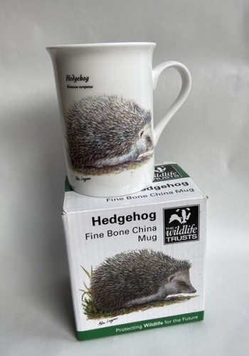 Mug hérisson - the wildlife trusts Mug hérisson - the wildlife trusts