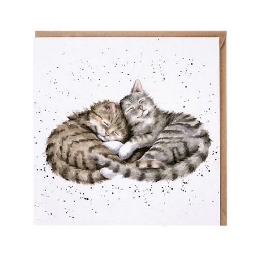 Carte double couple de chats - wrendale