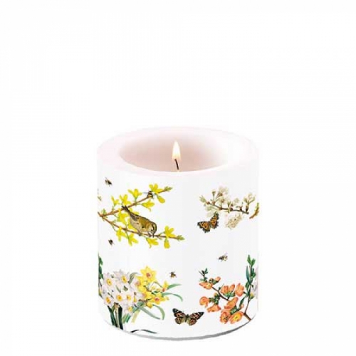 Petite bougie spring awakening - ambiente