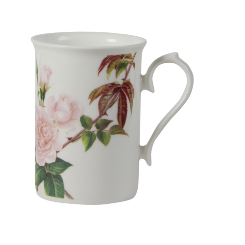 Mug rose Austin - Roy Kirkham
