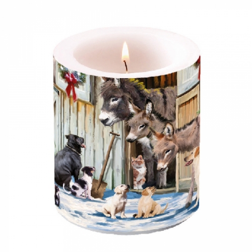 Bougie lampion moyenne animal friends - ambiente