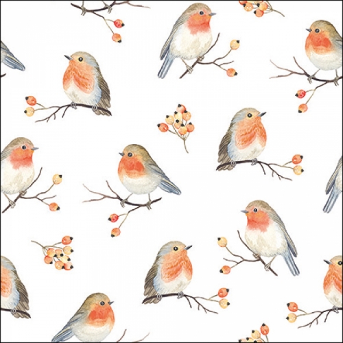 Serviettes en papier Robin Family - ambiente