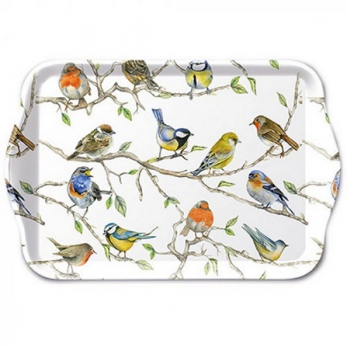 Petit plateau birds meeting - ambiente