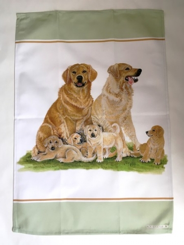 Torchon chiens golden retriever - roy kirkham