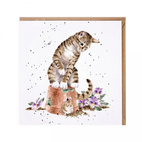 Carte double chat hide and squeak - wrendale