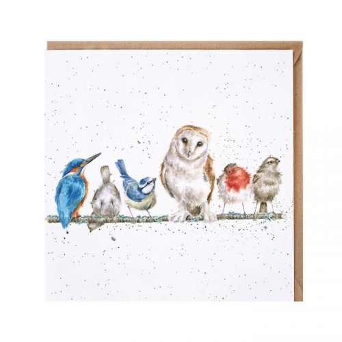 Carte variétés d'oiseaux Hannah Dale - wrendale