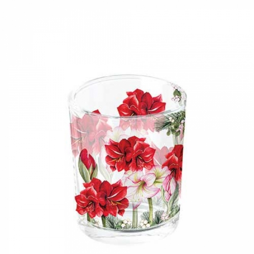 Photophore blooming amaryllis - ambiente