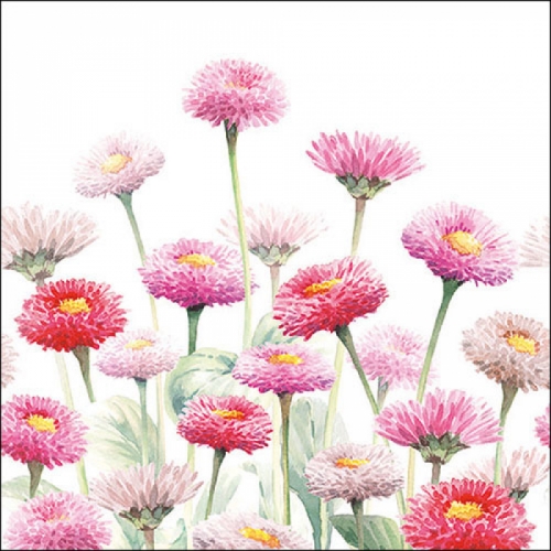 Serviettes en papier painted bellis - ambiente