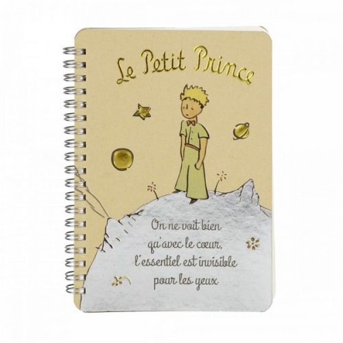 Carnet le petit prince terre