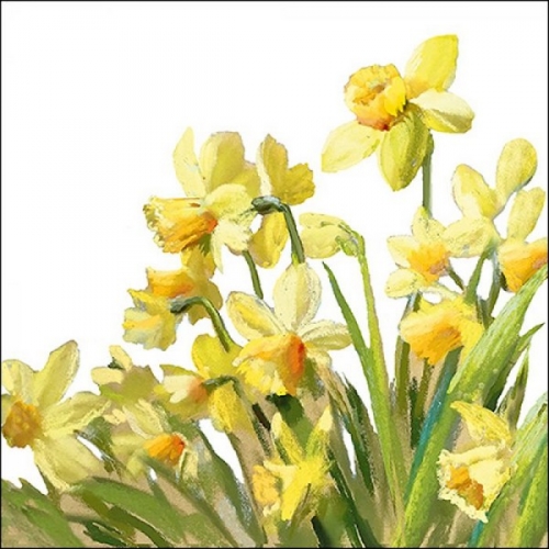 Serviettes en papier goden daffodills - ambiente