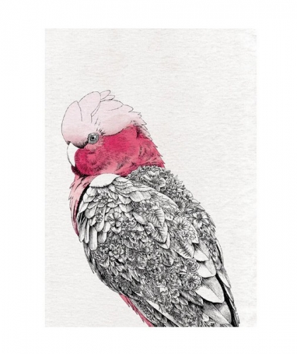 Torchon oiseau galah - Marini ferlazzo