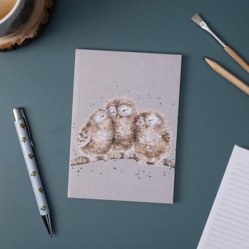 Carnet 3 chouettes - Hannah Dale