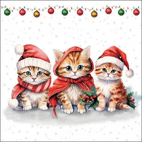 Serviettes chats funny cute kittens -Ambiente
