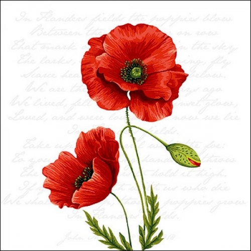 Serviettes en papier proud poppy - ambiente