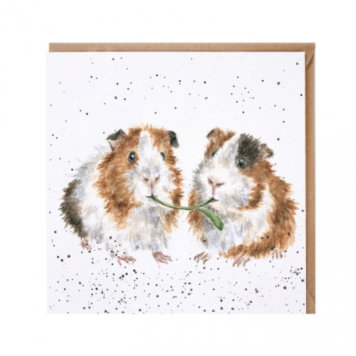 Carte couple cochons d'Inde Hannah Dale - wrendale