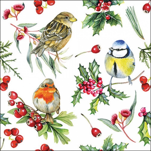 Serviettes en papier birds in winter - ambiente