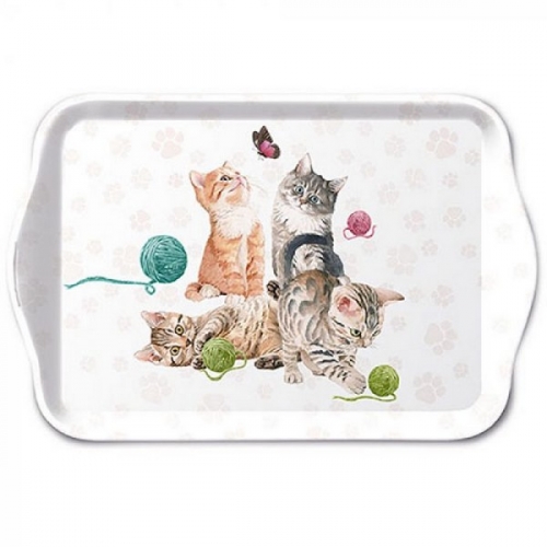 Petit plateau playing kitten - ambiente