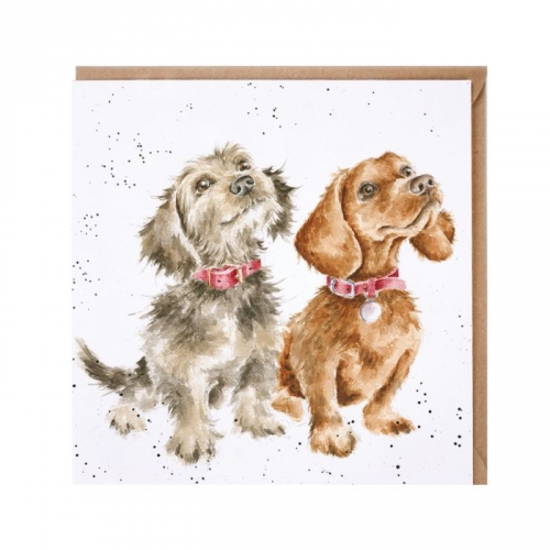 Carte double chiens treat time Hannah Dale -Wrendale