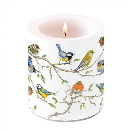 Bougie médium meeting birds - ambiente