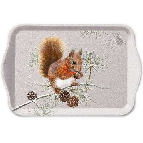 Petit plateau squirrel in winter Ambiente