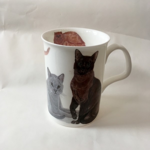 Mug chat chartreux cats galore - Roy Kirkham
