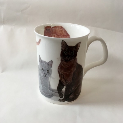 Mug chat chartreux cats galore - Roy Kirkham