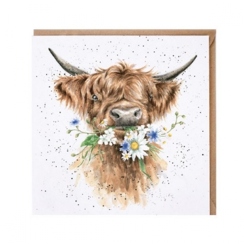 Carte double vache Highland - wrendale