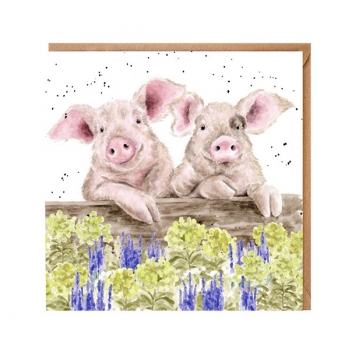 Carte double cochons " nosy neigh-boars - wrendale