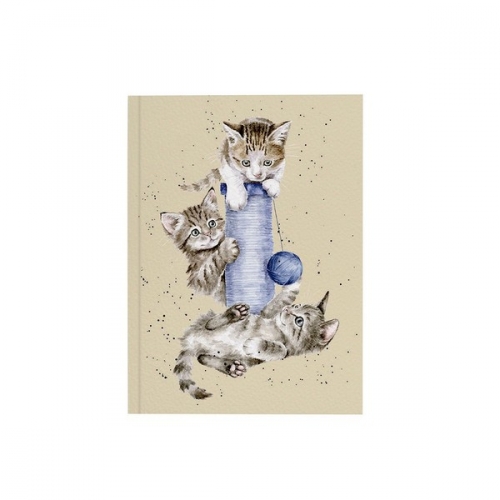 Carnet 3 chatons - Hannah Dale